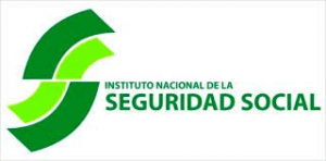 Instituto Nacional de la Seguridad Social